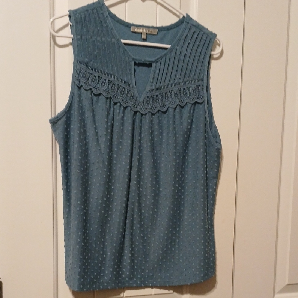 danielrainn Teal swiss dot  Sleeveless Blouse sz L